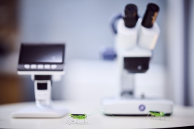 Elementar-Bildung_c_Marek-Knopp-(61)