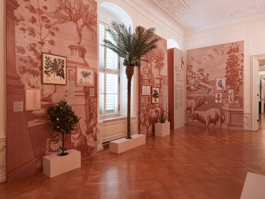 sRGB_50perc_BUW_Schloss_Hof_Niederweiden_6821